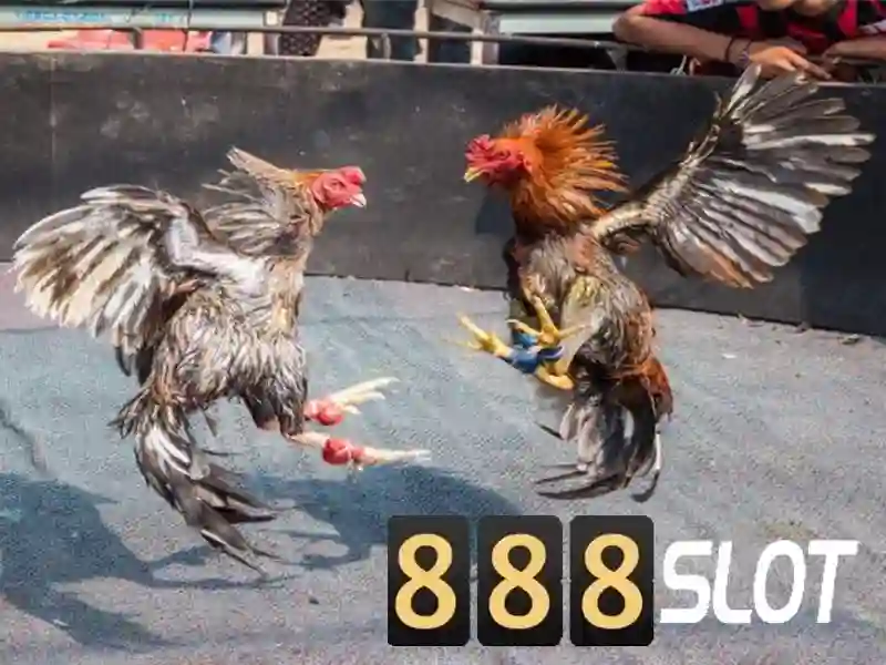 💎uk88 exp💎 - uk88 life 50 - uk88 uk88 world