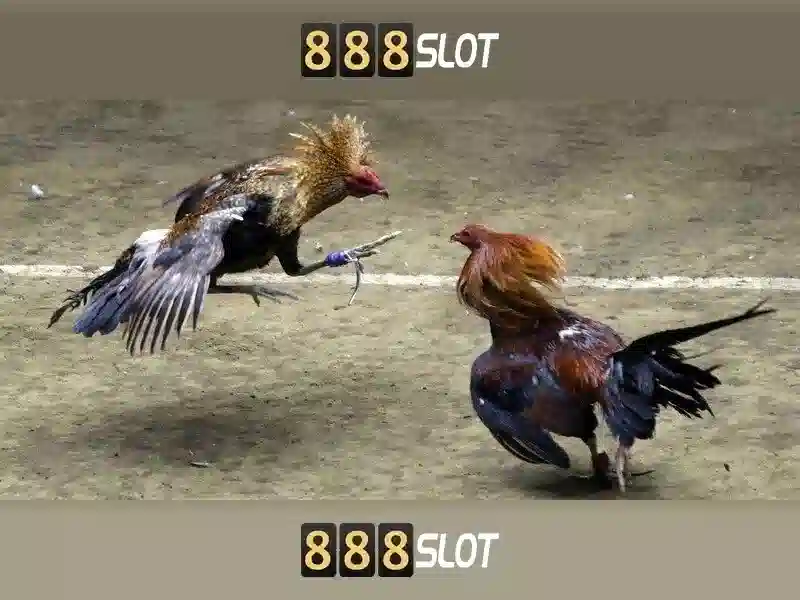 💎buffalo gold slots free💎