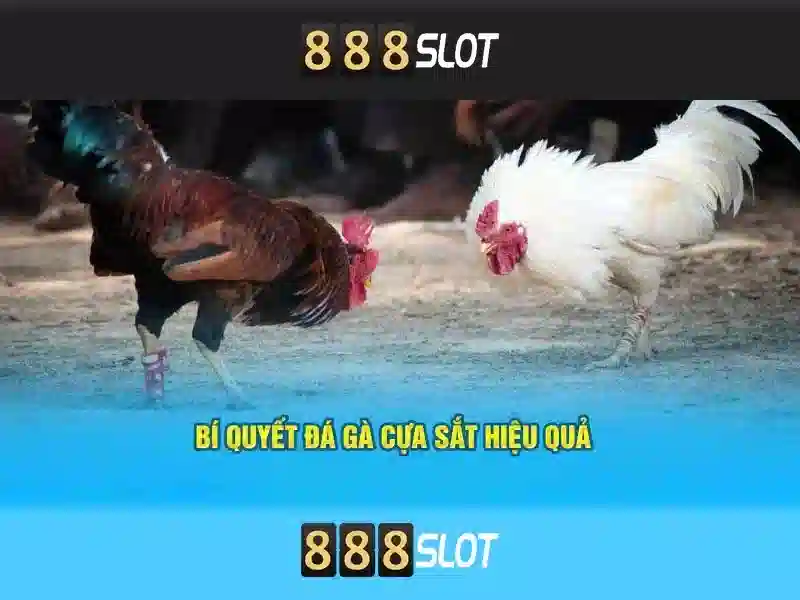 💎phoenix sun slot game💎