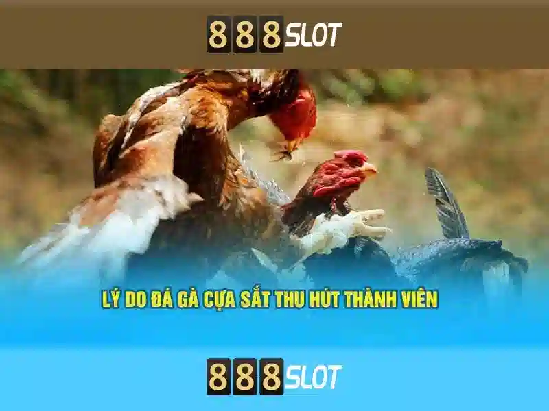 888slot – Đánh giá tổng thể nền tảng cá cược trực tuyến uy tín cho người chơi Việt