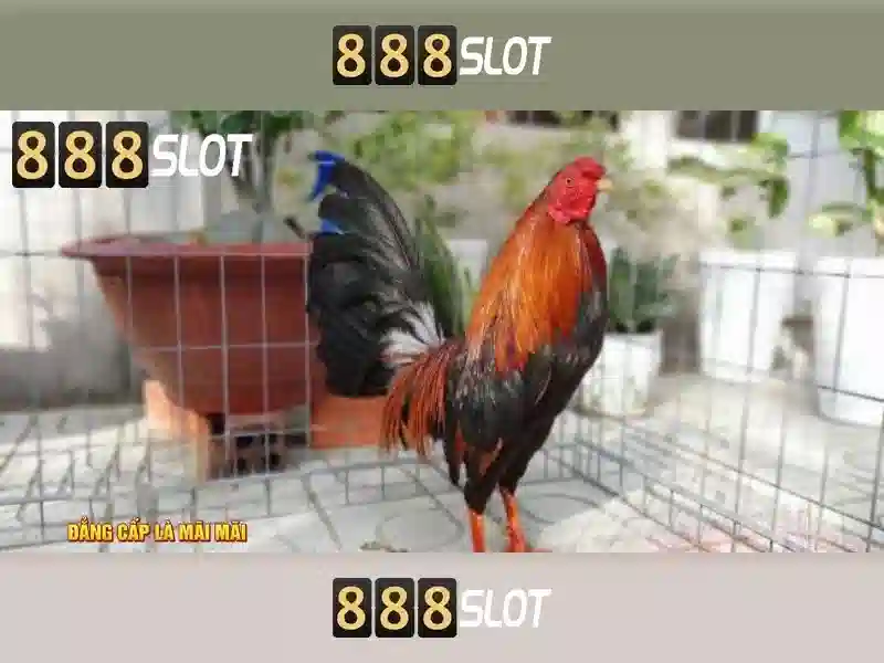 💎sòng bạc ở ma cao💎