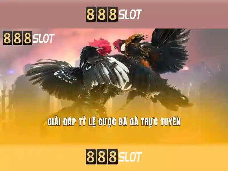 💎nhà cái uy tin forum💎