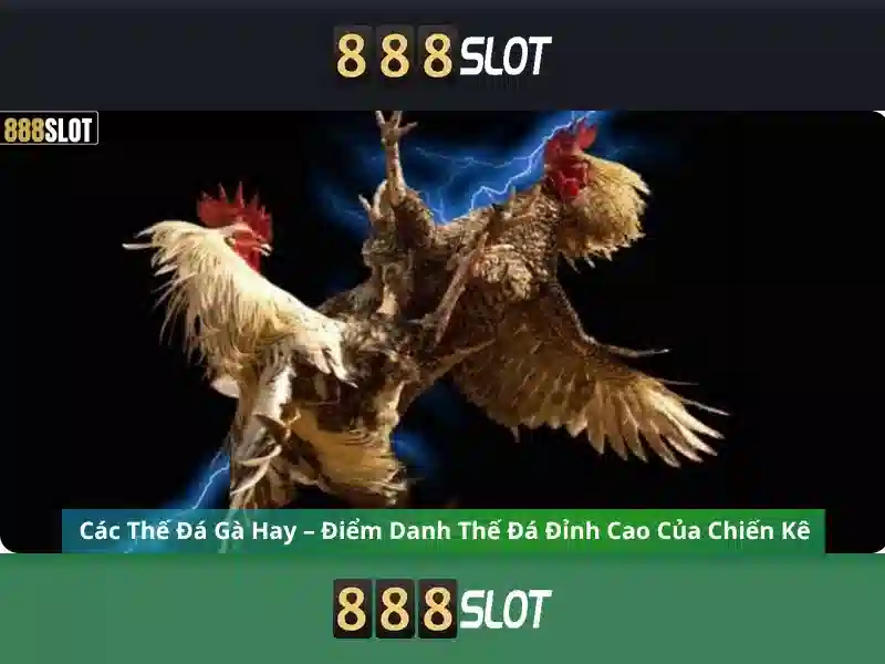 💎online poker💎