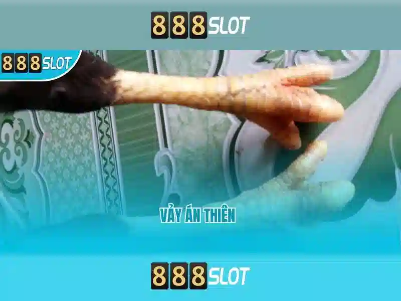 💎nhà xe việt thắng cai lậy - tiền giang💎