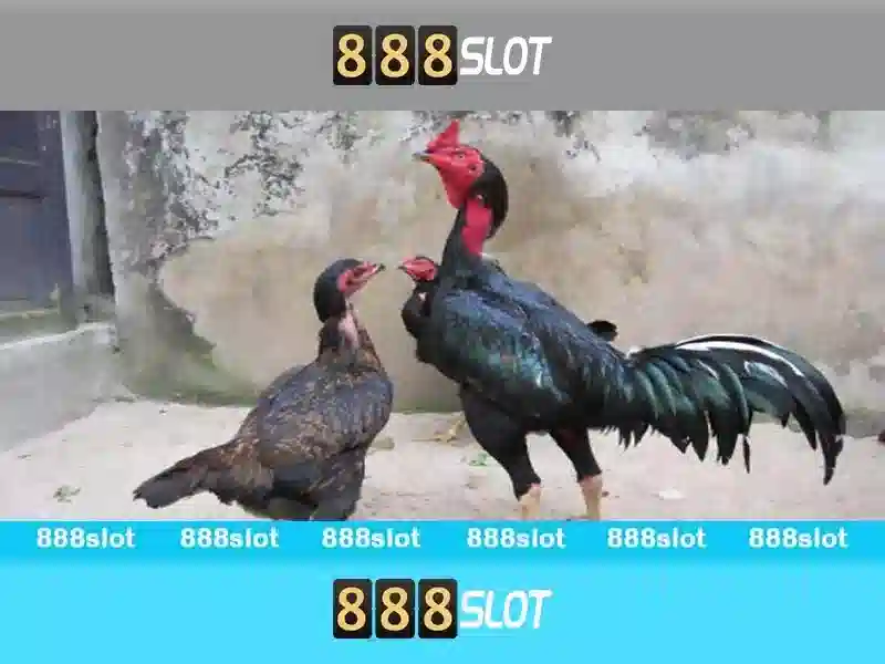 💎cài lại win 10 tại nhà💎