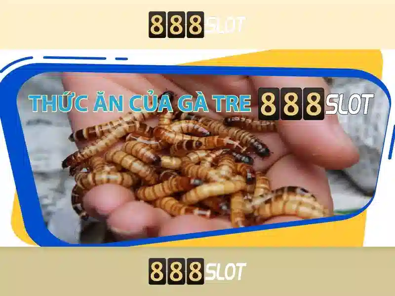 💎cầu lô nhà cái💎