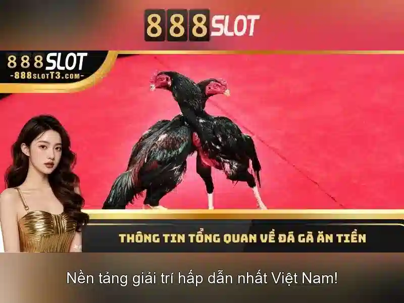 💎nhà cái bet365vnd💎