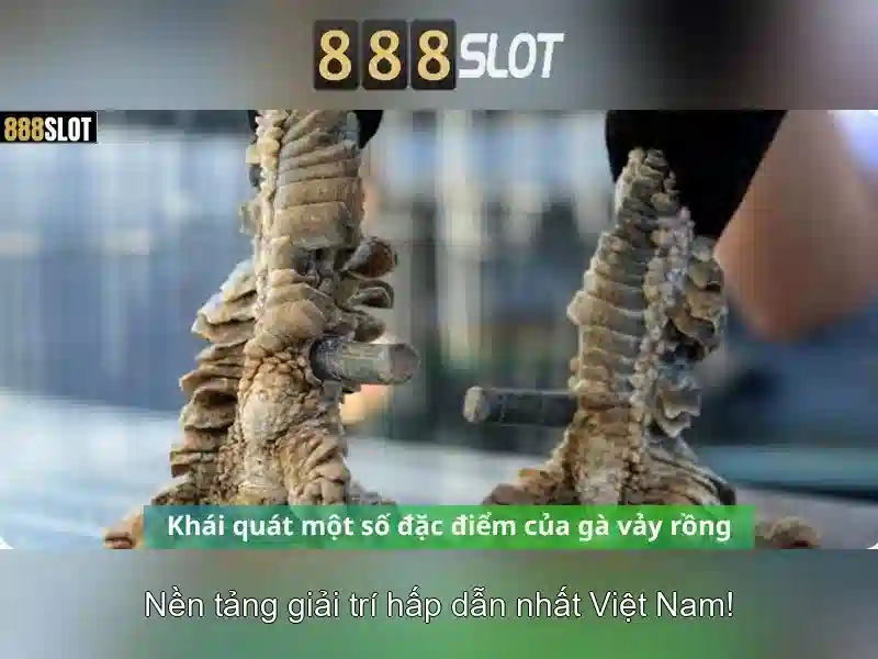 💎cá cược bóng đá uy tín💎