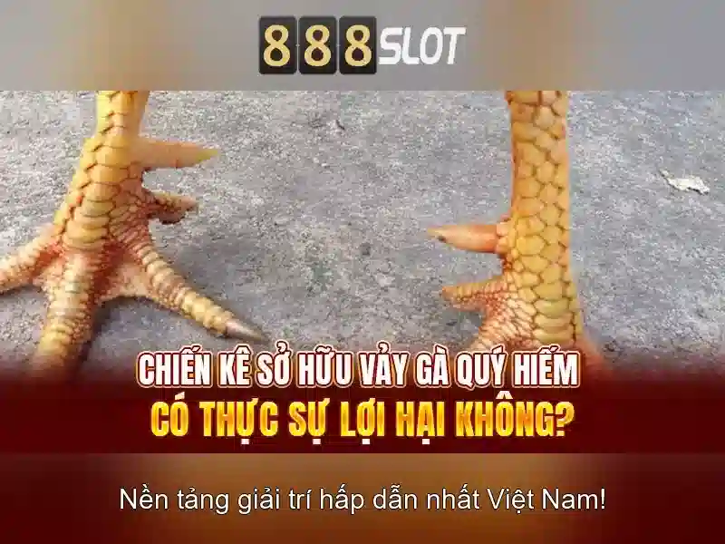 💎kèo nhà cái h2 trực tiếp💎