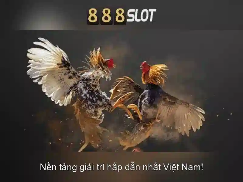 💎sin88 mã xác minh💎 - sin88 bey - tại sin88