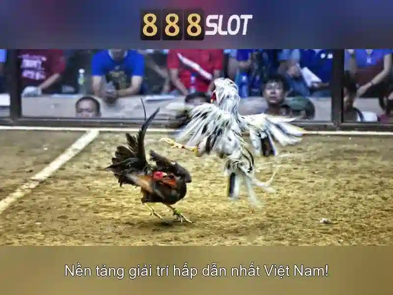 💎casino slots gratis online💎