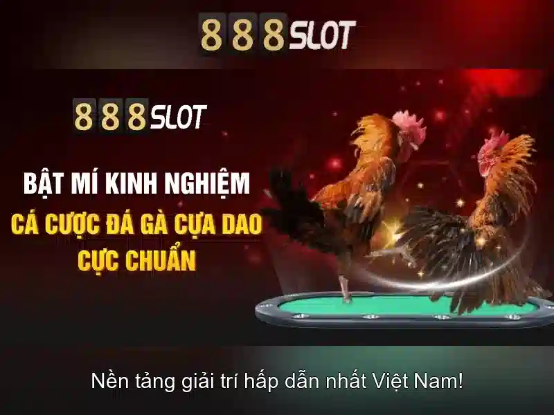 💎hành vi tổ chức đánh bạc của công chức💎