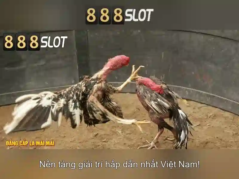 💎nhà hồ và cải cách💎