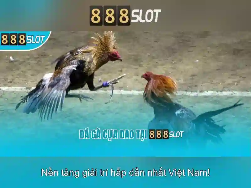 💎kèo nhà cái trực tuyến bóng đá hôm nay💎