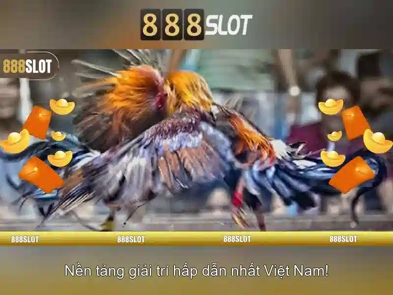 💎keo nha cai cup c2💎