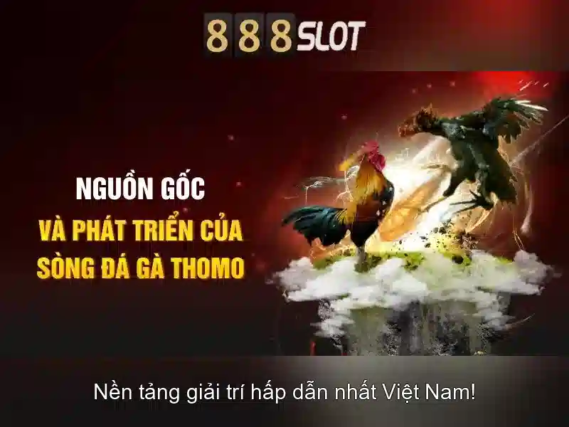 💎cá cược bóng đá việt nam-thái lan💎