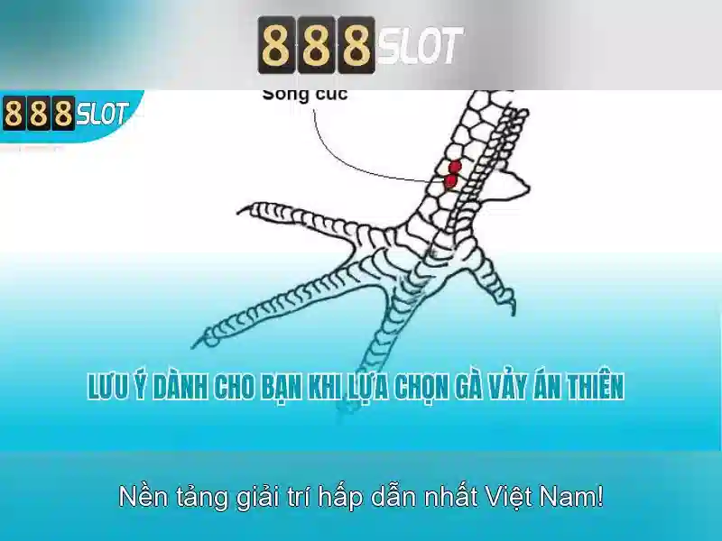 💎play free top dollar slot machine online💎